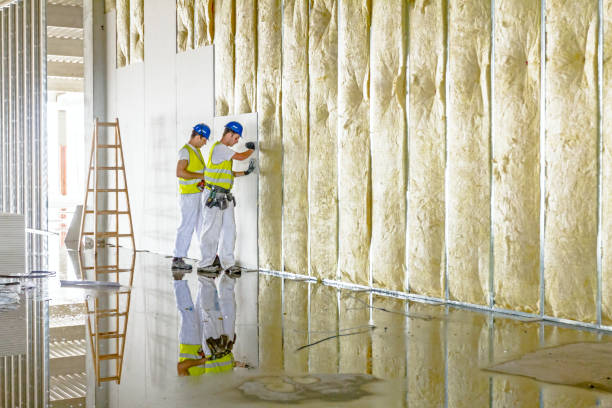 Best Insulation Maintenance and Repair in Rochester, NH